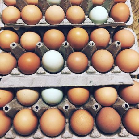 PASTEURIZED EGGS - 1 DOZEN